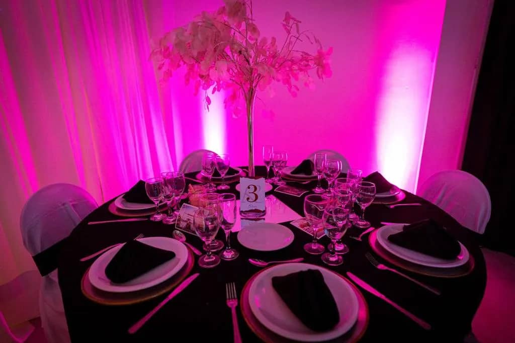 imagen de Zebra Eventos