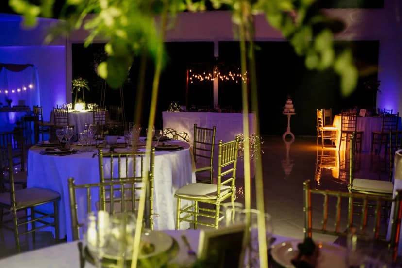 imagen de Zebra Eventos